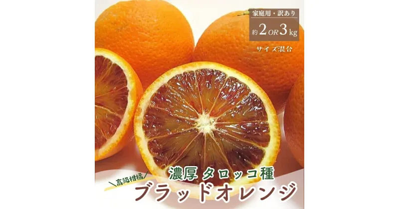 【ふるさと納税】 【春の美味】【高級柑橘】濃厚ブラッドオレンジ タロッコ 約2kg 約3kg 【選べる容量】※4月上旬〜5月中旬頃に順次発送予定