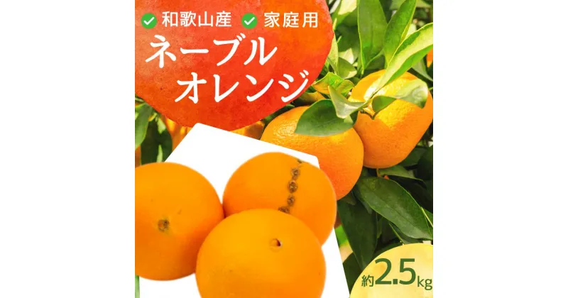 【ふるさと納税】家庭用 ネーブルオレンジ 2.5kg+75g（傷み補償分）【訳あり・わけあり】【光センサー選別】 / ネーブル オレンジ ＜2025年2月上旬頃〜2月下旬ごろに順次発送＞