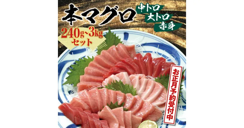 【ふるさと納税】 《 レビューキャンペーン 》 年末配送 まぐろ 本マグロ (養殖) トロ ＆ 赤身 セット 240g 500g 1kg 1350g 3kg 容量 配送時期が選べる 北山村 人気 No.1 高評価 マグロ 鮪 中トロ 中とろ 赤身 柵 刺身 お刺身 年末発送 年内配送 年内発送 お正月 送料無料