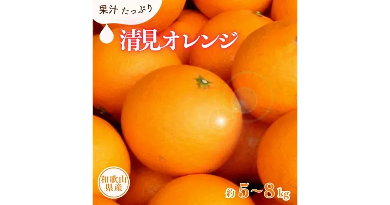 【ふるさと納税】 清見オレンジ 約5kg 約8kg (果実サイズおまかせ) 紀伊国屋文左衛門本舗【2025年2月中旬〜4月下旬頃発送予定】(お届け日指定不可)