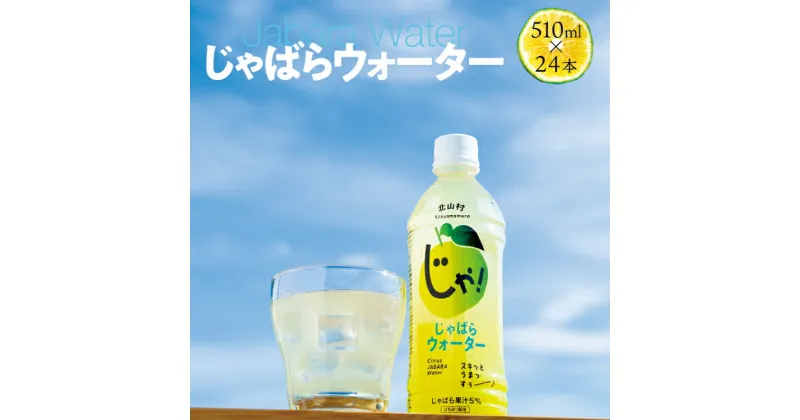 【ふるさと納税】 夏場の水分補給、熱中症対策にも★じゃばらウォーター510ml 1ケース（24本）