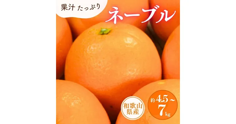 【ふるさと納税】 ネーブル 約4.5kg 約7kg / サイズおまかせ ※2025年1月中旬〜2025年2月上旬頃順次発送予定(お届け日指定不可)紀伊国屋文左衛門本舗