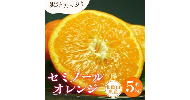 【ふるさと納税】 セミノールオレンジ 約5kg/サイズおまかせ ※2025年4月中旬〜5月下旬頃に順次発送予定(お届け日指定不可) 紀伊国屋文左衛門本舗