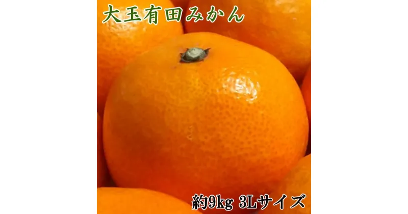 【ふるさと納税】 【食べごたえ十分】有田みかん大玉 9kg（3Lサイズ・秀品） ※2024年11月中旬〜1月中旬頃順次発送予定（お届け日指定不可）