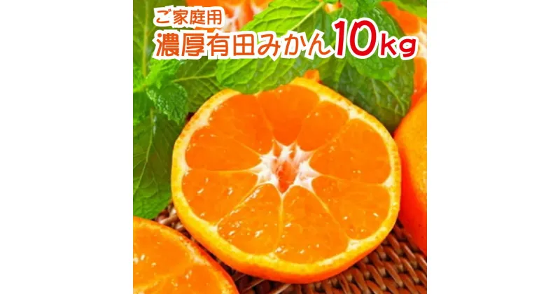 【ふるさと納税】 農園直送！完熟有田みかん 約10kg ※2024年11月〜12月に順次発送予定（お届け日指定不可）