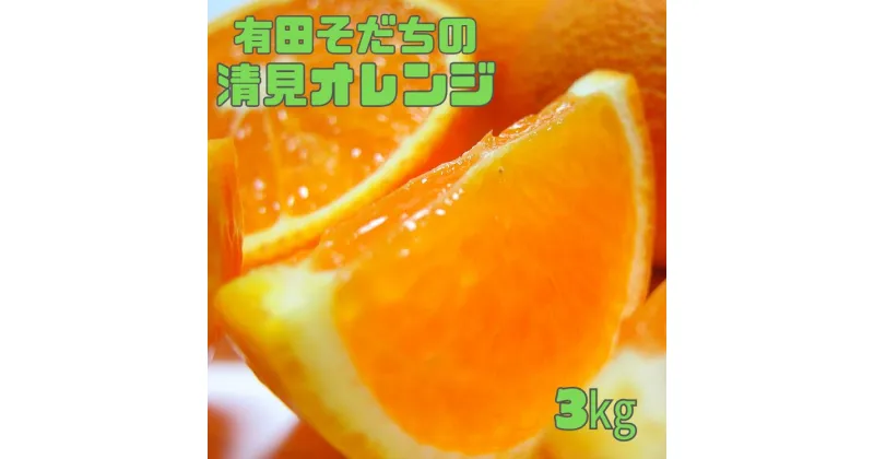 【ふるさと納税】 【2025年2月下旬〜3月下旬順次発送予定】有田育ちの完熟清見オレンジ(ご家庭用) 約3kg