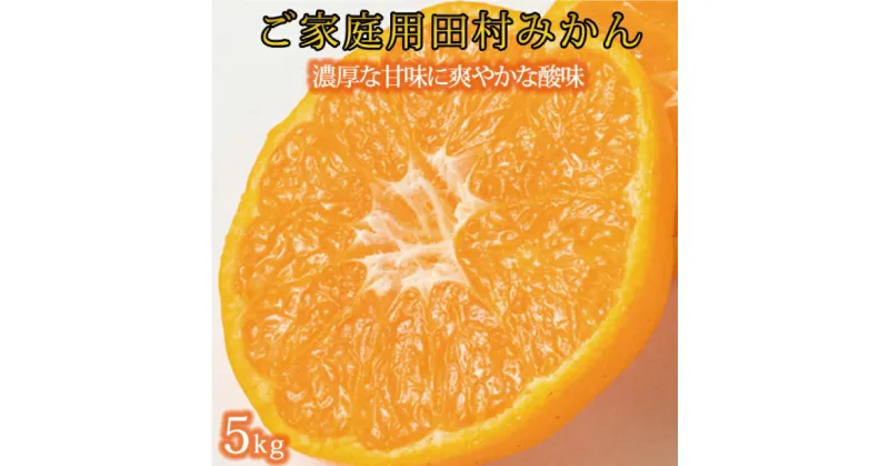 【ふるさと納税】 【ご家庭用訳あり】田村みかん 5kg ※2024年11月下旬頃〜2025年1月下旬頃に順次発送（お届け日指定不可）