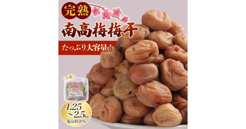 【ふるさと納税】 《 レビューキャンペーン 》 梅干し 完熟 南高梅 無添加 1.25kg or 2.5kg 選べる 容量 塩分約20％ 数量限定 サイズ混合 ご家庭用 梅 うめ ウメ 梅干 白干 白干し 白梅 白梅干し 完熟 大粒 無添加 健康 大容量 たっぷり 昔ながら ご自宅用 送料無料