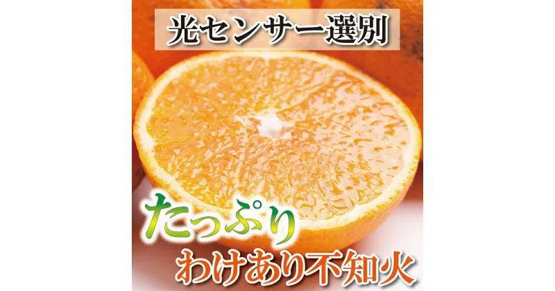 【ふるさと納税】 家庭用 不知火 【選べる容量】 【デコポンと同品種】【わけあり・訳あり】【しらぬひみかん・しらぬい】【光センサー選別】＜2023年2月上旬〜2023年3月下旬ごろに順次発送＞