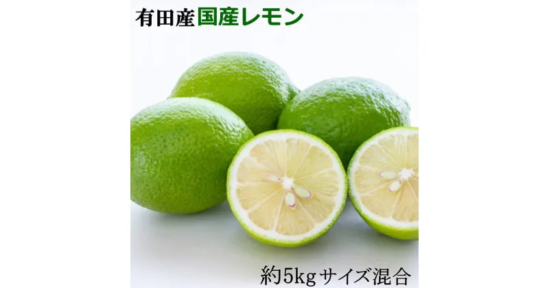 【ふるさと納税】 有田産の安心国産レモン約5kg （サイズ混合）※2024年10月中旬〜3月下旬頃に順次発送予定（お届け日指定不可）