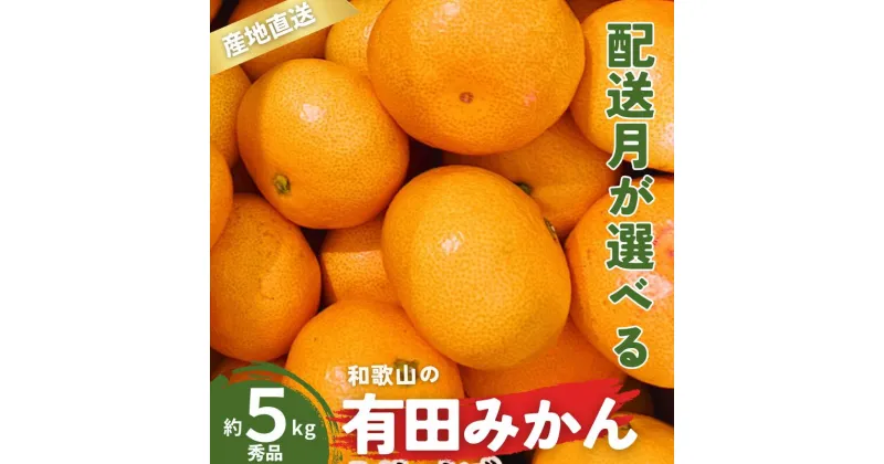 【ふるさと納税】 ＼配送月が選べる！／ 秀品 有田みかん 和歌山県産 S〜Lサイズ 大きさお任せ 5kg / みかん フルーツ 果物 くだもの 有田みかん 蜜柑 柑橘