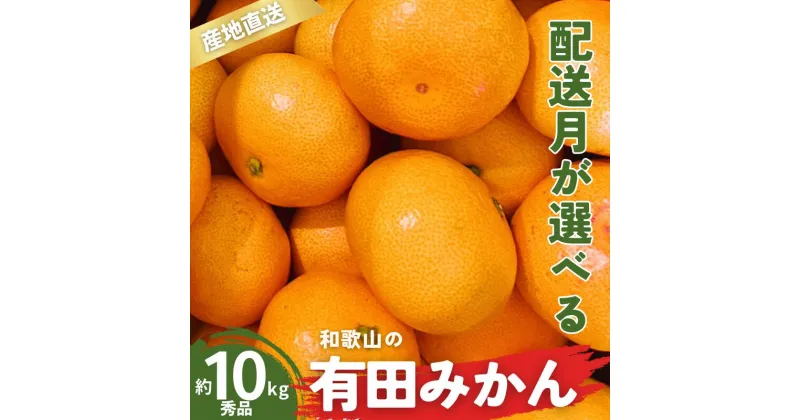 【ふるさと納税】 ＼配送月が選べる！／ 秀品 有田みかん 和歌山県産 S〜Lサイズ 大きさお任せ 10kg / みかん フルーツ 果物 くだもの 有田みかん 蜜柑 柑橘