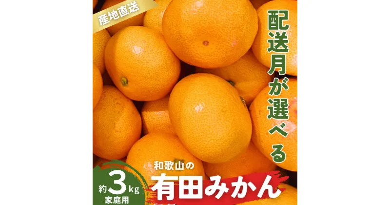 【ふるさと納税】 ＼配送月が選べる！／ ご家庭用 有田みかん 和歌山 S〜Lサイズ 大きさお任せ 3kg / みかん フルーツ 果物 くだもの 有田みかん 蜜柑 柑橘