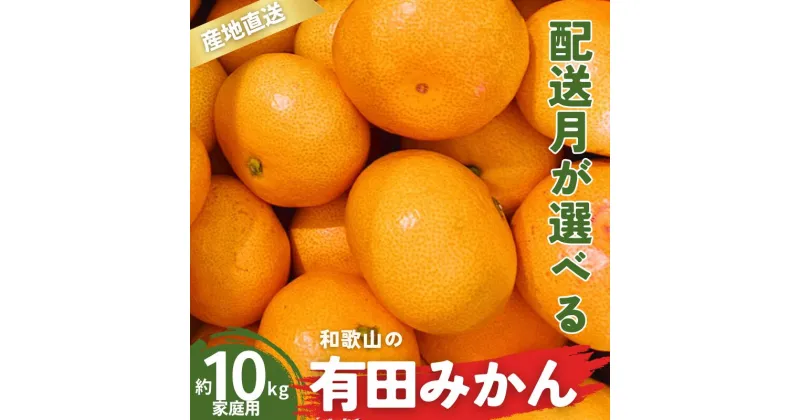 【ふるさと納税】 ＼配送月が選べる！／ 家庭用 有田みかん 和歌山 S〜Lサイズ 大きさお任せ 10kg / みかん フルーツ 果物 くだもの 有田みかん 蜜柑 柑橘