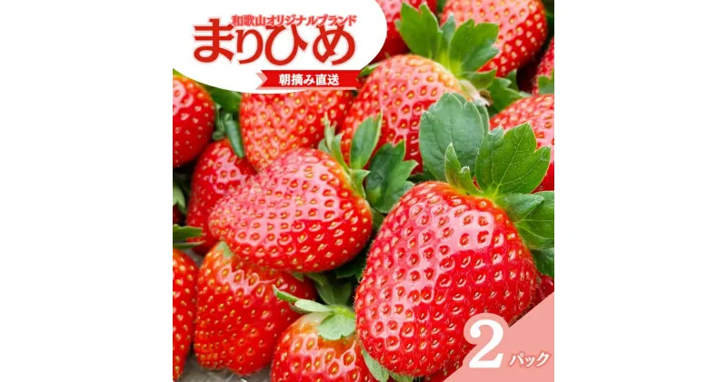 【ふるさと納税】 【先行予約】特大まりひめ いちご 朝摘 6個〜11個入り×2パック 2025年1月初旬〜2025年3月中旬頃に順次発送予定（お届け日指定不可）/ いちご 苺 まりひめ 和歌山 フルーツ 果物 くだもの