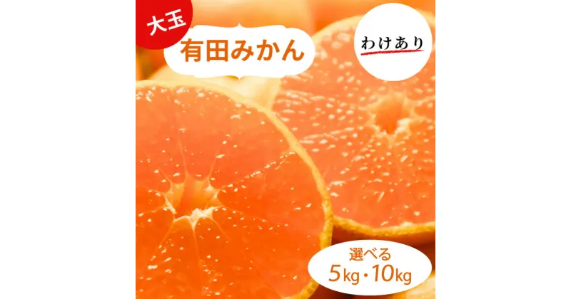 【ふるさと納税】 和歌山県産 有田みかん 大玉 2L 〜 3L 訳あり 選べる容量 5kg 〜 10kg ※2024年10月下旬〜2025年1月中旬頃に順次発送予定（お届け日指定不可) ミカン 柑橘 みかん 有田みかん 和歌山