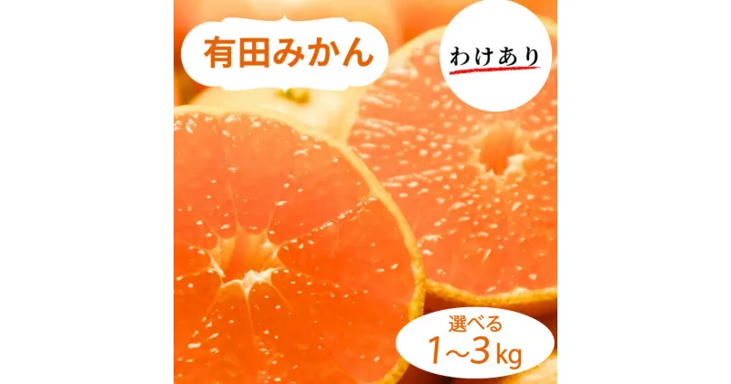 【ふるさと納税】 和歌山県産 有田みかん 訳あり 選べる容量 1kg 〜 3kg ※2024年10月下旬〜2025年1月中旬頃に順次発送予定（お届け日指定不可) ミカン 柑橘 みかん 和歌山 有田