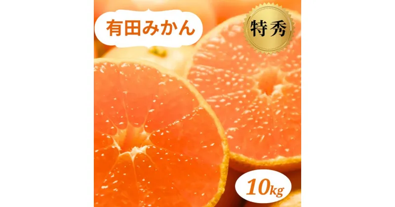 【ふるさと納税】 和歌山県産 有田みかん 10kg 特秀 ※2024年10月下旬〜2025年1月中旬頃に順次発送予定（お届け日指定不可) ミカン 柑橘 みかん 和歌山 有田