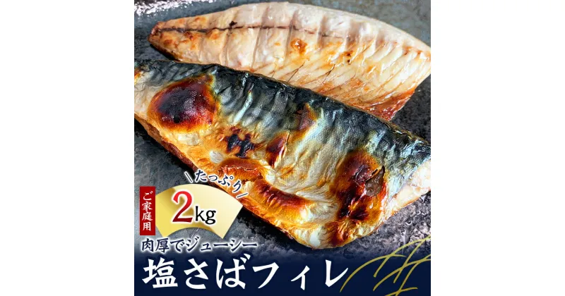 【ふるさと納税】 塩サバ サバ 塩さば フィレ 家庭用 定期便 全3回 2kg × 3 計6kg さば 鯖 切り身 切身 人気 魚 海鮮 焼き魚 焼魚 おかず ジューシー ふっくら 送料無料 和歌山県 北山村