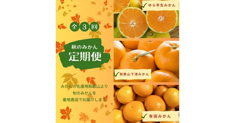 【ふるさと納税】 【3か月定期便】みかんの名産地和歌山発！秋のみかん定期便♪ゆら早生みかん・下津みかん・有田みかん【tkb362】