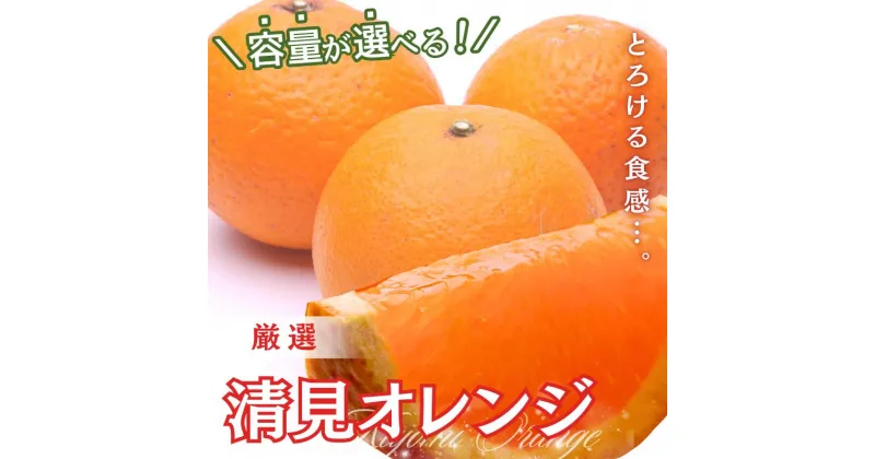 【ふるさと納税】＼容量が選べる／ 厳選 清見オレンジ【光センサー食頃出荷】【樹上完熟きよみオレンジ・清見タンゴール・清美】＜2025年2月上旬〜3月下旬ごろに順次発送＞