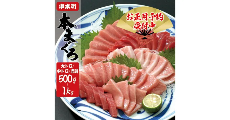 【ふるさと納税】 【年末発送予約受付中！】 本マグロ（養殖）トロ＆赤身セット 500g or 1kg 【配送時期が選べる】【レビューキャンペーン実施中】 / まぐろ 鮪 赤身 トロ 中トロ 大トロ 刺身 冷凍 海鮮 柵 串本町