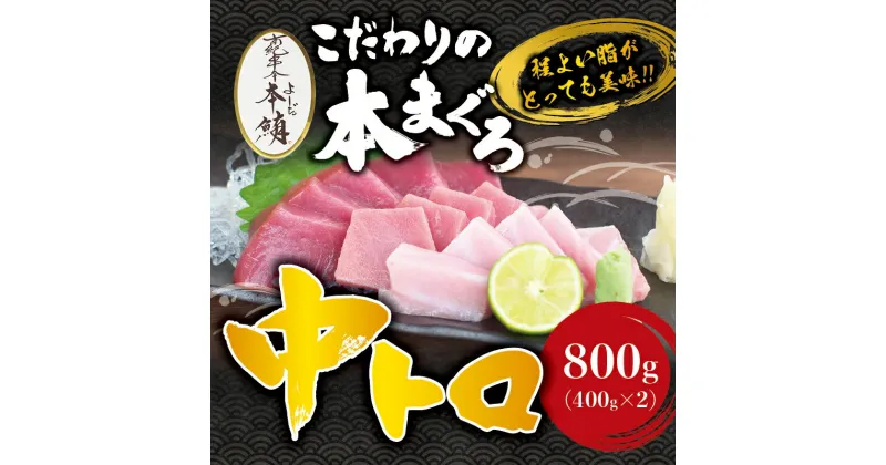 【ふるさと納税】 本マグロ 中とろ 800g（400g×2）サク 「プレミア和歌山認定」 和歌山県でも指折りの好漁場で養殖された本鮪です！ 南紀串本よしだ本鮪 南紀串本よしだふるさと 納税 和歌山県串本町 和歌山県 和歌山 串本 取り寄せ グルメ 鮪 まぐろ マグロ