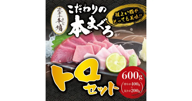 【ふるさと納税】 本マグロ 中とろ 400g & 大とろ 200g のセット（サク）「プレミア和歌山認定」 和歌山県でも指折りの好漁場で養殖された本鮪です！ 南紀串本よしだ本鮪 ふるさと 納税 和歌山県串本町 和歌山県 和歌山 串本 鮪 まぐろ マグロ