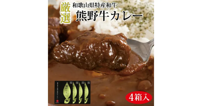 【ふるさと納税】 熊野牛カレー 4箱