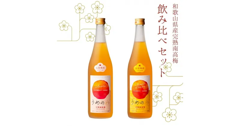 【ふるさと納税】 紀州完熟南高梅酒 飲み比べセット（うめのわ 完熟梅酒・蜂蜜梅酒 720ml 各1本）