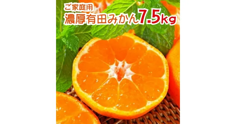 【ふるさと納税】 農園直送！完熟有田みかん 約7.5kg ※2024年11月〜12月に順次発送予定（お届け日指定不可）