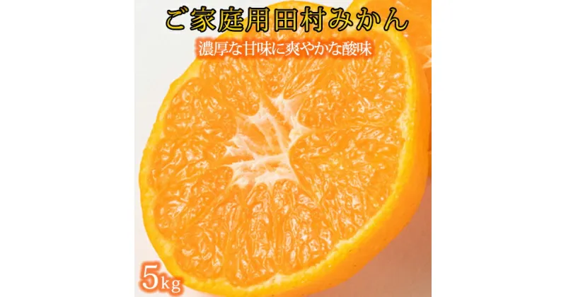 【ふるさと納税】 【ご家庭用訳あり】田村みかん 5kg ※2024年11月下旬頃〜2025年1月下旬頃に順次発送予定(お届け日指定不可)