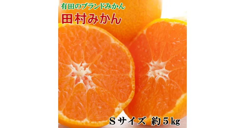 【ふるさと納税】 【ブランドみかん】田村みかん約5kg（Sサイズ・秀品）※2024年11月下旬〜12月下旬頃順次発送予定（お届け日指定不可）