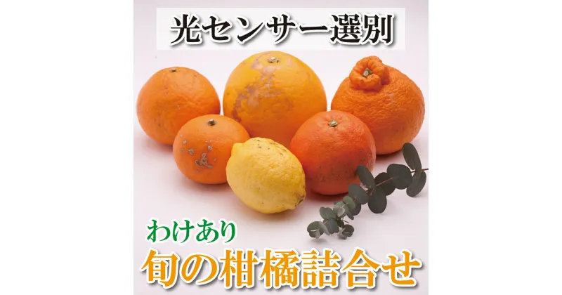 【ふるさと納税】 家庭用旬の柑橘詰合せ 2kg+60g(傷み補償分) / 5kg+150g(傷み補償分)【訳あり・わけあり】【有田の春みかん詰め合わせ・フルーツ詰め合せ・オレンジつめあわせ】【光センサー選別】＜2025年1月上旬〜4月下旬ごろに順次発送＞