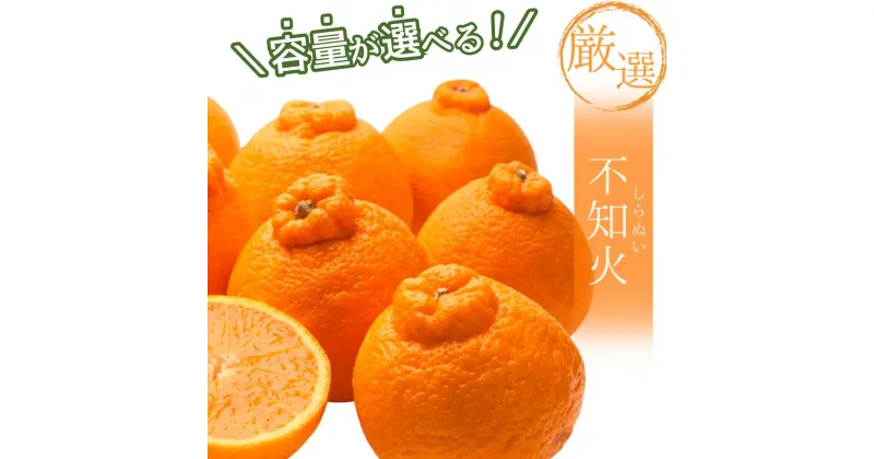 【ふるさと納税】 ＜先行予約＞厳選 不知火 1.2kg+39g(傷み補償分) / 2kg+75g(傷み補償分) / 3kg+75g(傷み補償分) / 5kg+150g(傷み補償分) 【デコポンと同品種・人気の春みかん】＜2025年2月上旬〜2025年3月下旬ごろに順次発送＞