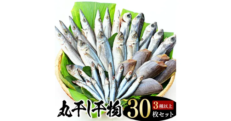 【ふるさと納税】 【丸干し 干物セット】たっぷり30点以上！定番干物3種30枚セット 干物 ひもの セット 和歌山 家庭用