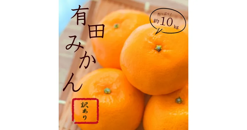 【ふるさと納税】 紀州有田みかん 【訳あり】約10kg サイズおまかせ(2L〜2S ) いずれかお届け みかん ミカン 柑橘 有田みかん 和歌山