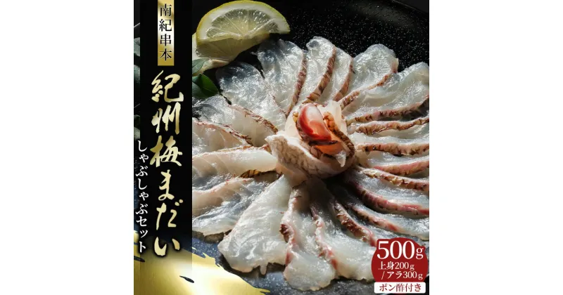 【ふるさと納税】岩谷水産 紀州梅まだい しゃぶしゃぶセット 500g（じゃばらポン酢付き） / 鯛 真鯛 鯛しゃぶ 梅真鯛 魚貝 海鮮