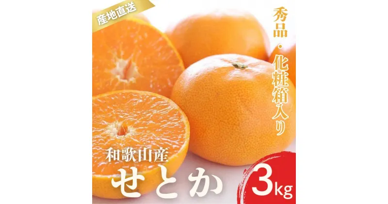 【ふるさと納税】 【先行予約】有田 せとか 約3kg 秀品 化粧箱 M〜3Lサイズ 大きさお任せ【2024年2月中旬〜2024年3月下旬頃に順次発送予定】/ みかん フルーツ 果物 くだもの 蜜柑 柑橘