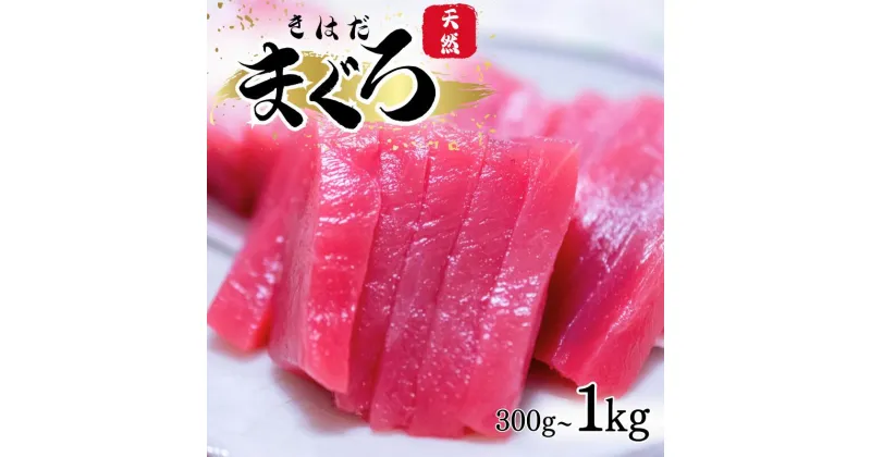 【ふるさと納税】 漁師が選んだ 天然キハダマグロ 切身 約300g〜1kg / まぐろ 鮪 赤身 刺身 切身冷凍 きはだまぐろ 和歌山