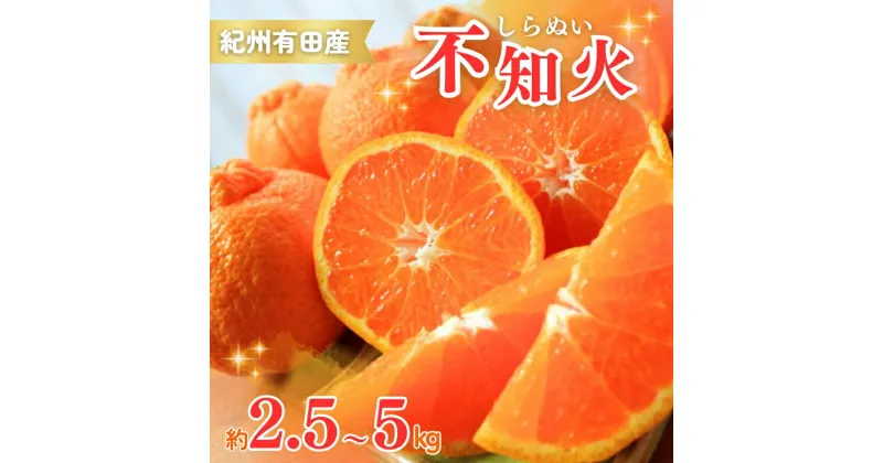 【ふるさと納税】 紀州有田産 不知火 (しらぬひ) 2.5kg・5kg ※2025年2月中旬頃〜3月中旬頃に順次発送予定（お届け日指定不可）/ みかん 不知火 和歌山 フルーツ 果物 有田 柑橘