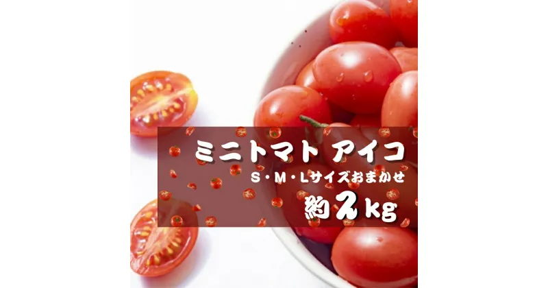 【ふるさと納税】 ミニトマト アイコ (松 トマト ） 約2kg（S・M・Lサイズおまかせ） 【配送月が選べる】