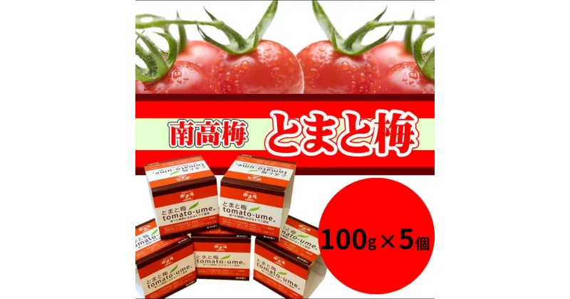 【ふるさと納税】 南高梅 とまと梅 tomato-ume 100g×5個 / 梅干し 梅干 梅