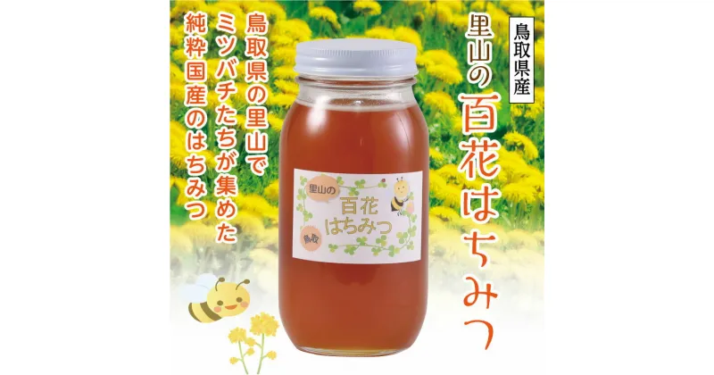 【ふるさと納税】0159 里山の百花蜂蜜　　鳥取　ハチミツ　国産　送料無料