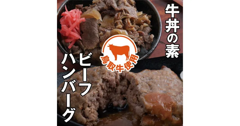 【ふるさと納税】0119 とりちく牛丼の素・鳥取ビーフハンバーグ詰め合わせ