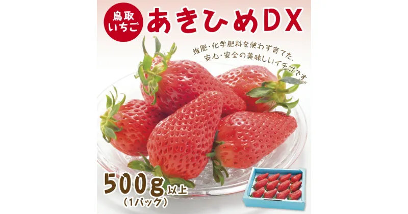 【ふるさと納税】0377 あきひめDX 500g【鳥取いちご】(とみハウス)　 送料無料