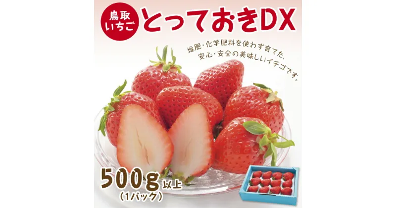 【ふるさと納税】0516 とっておきDX 500g【鳥取いちご】(とみハウス)　　送料無料