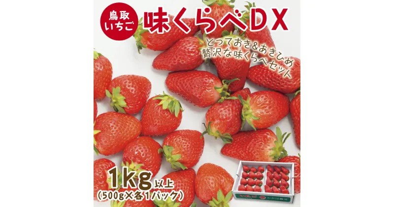 【ふるさと納税】0517 味くらべDX 1kg【鳥取いちご】(とみハウス)　　送料無料