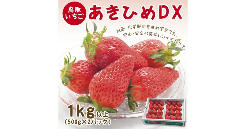 【ふるさと納税】0533 あきひめDX 1kg【鳥取いちご】(とみハウス)　　苺