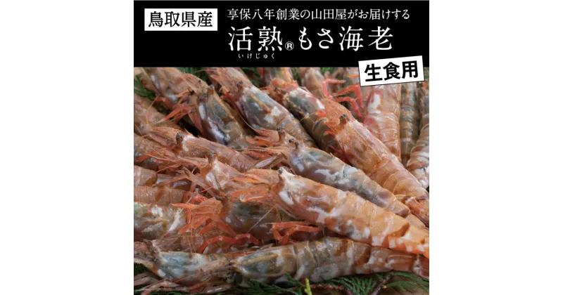 【ふるさと納税】0582 鳥取県産 生食用もさ海老(山田屋)　　えび　エビ　シーフード